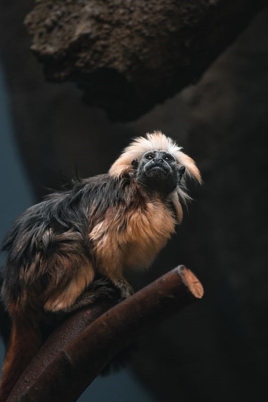 2025-05 Steve Beerli