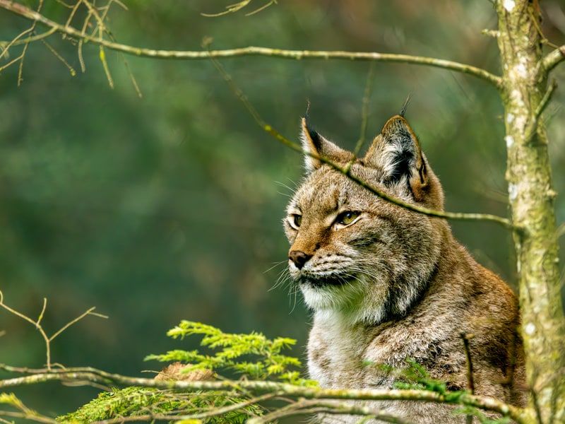 2025-08 Yannick Steiger