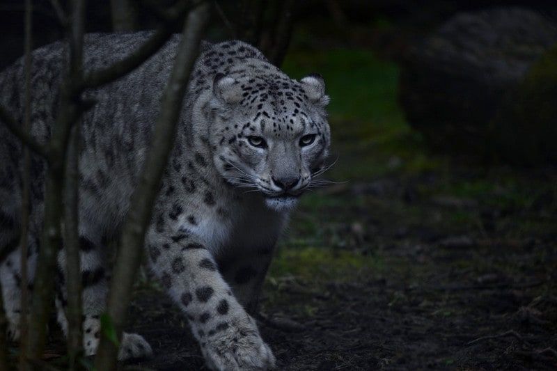 2025-03 Edouard Sabot